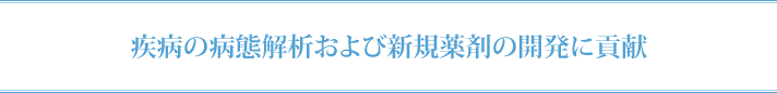 疾病の病態解析および新規薬剤の開発に貢献