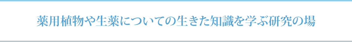 薬用植物や生薬についての生きた知識を学ぶ研究の場