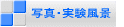 ʐ^Ei 